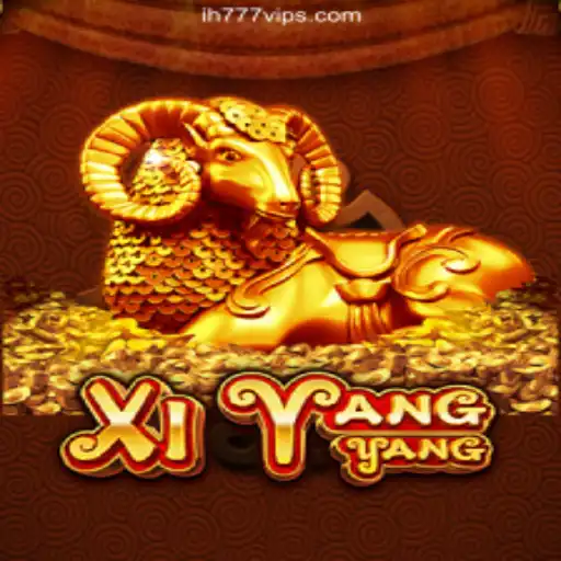 Dive into the Excitement with XiYangYang: A Journey of Daily Fun
